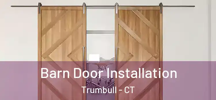 Barn Door Installation Trumbull - CT